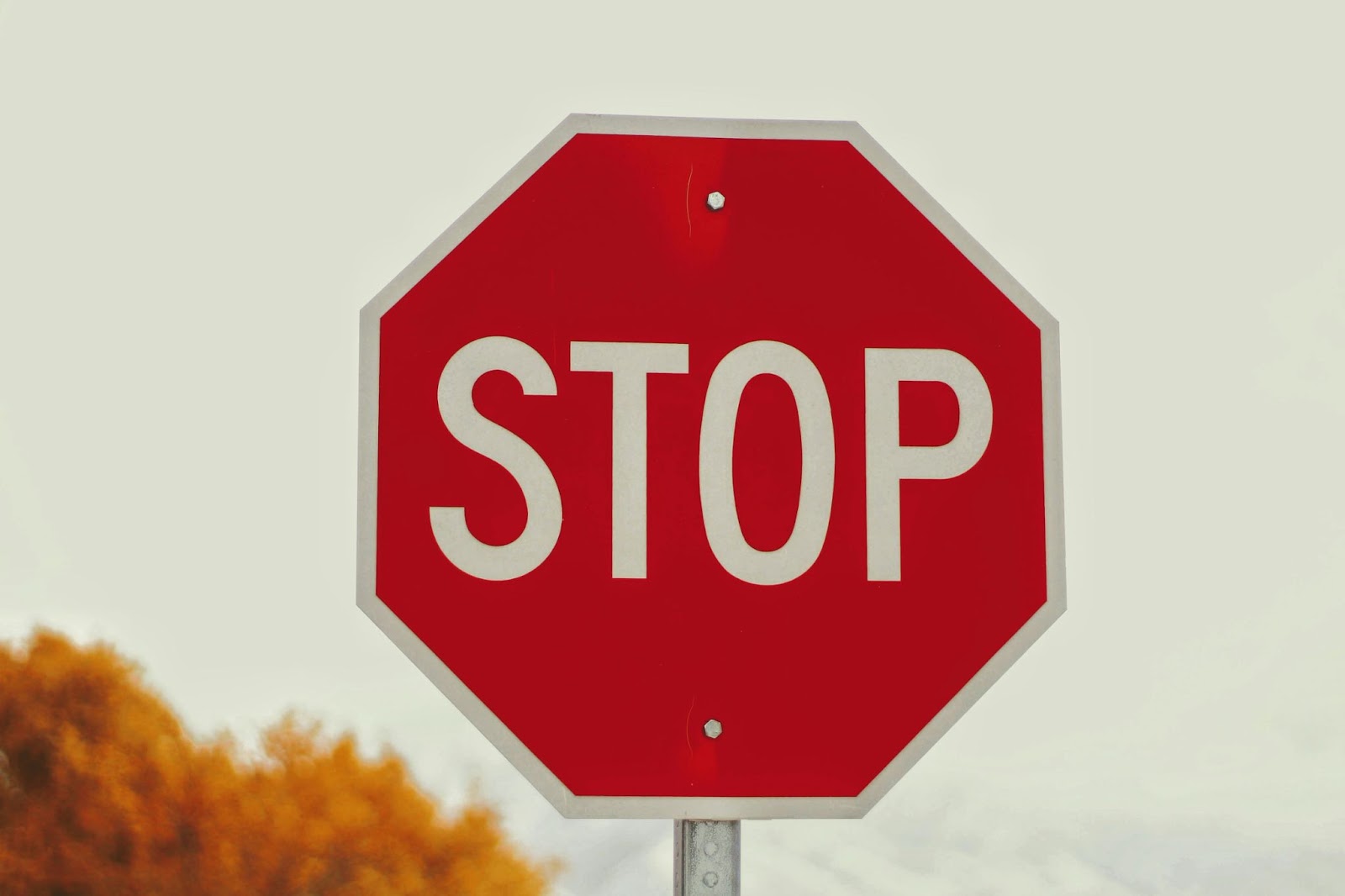 赤い八角形の板に白い文字で「STOP」と書かれた道路標識を、橙色の葉をぼかした背景で写した写真