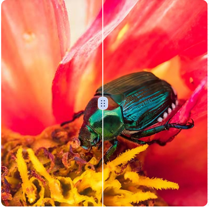 ClipdropのImage upscalerの例として、赤い花の上にいる緑の甲虫の写真の中央に縦線とつまみが入った画像